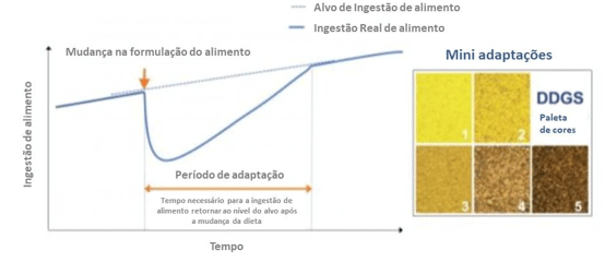 Figura 1. Adaptação a uma nova formulação pode levar a uma queda no consumo de alimento