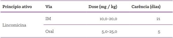 Quais as formas de uso de antimicrobianos em suínos? - Image 7