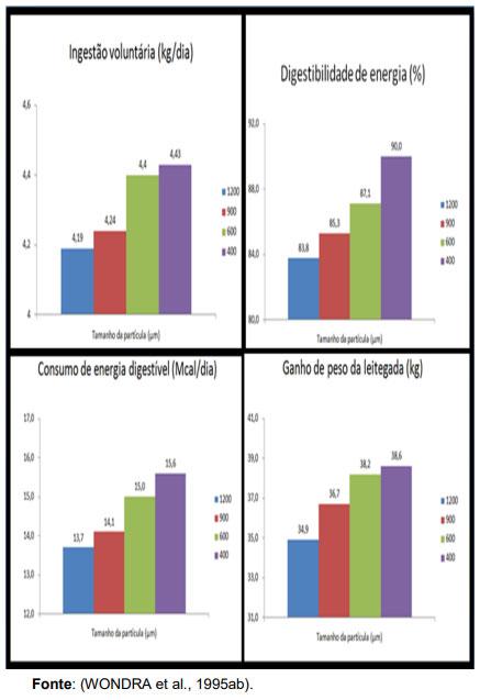 FIGURA 1 - Efeito do tamanho da partícula de milho sobre o desempenho e energia digestível de porcas primíparas