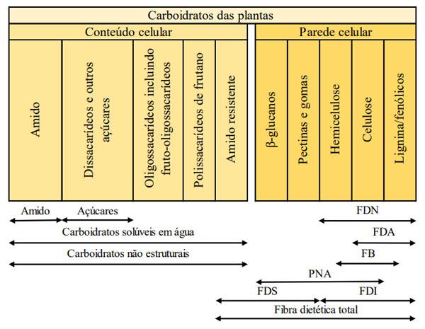 Figura 1. Caracterização dos carboidratos com base no método analítico (Adaptado de NRC, 2012)