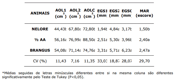Tabela 1. Valores médios de Área do musculo Longissimus Dorsi: Inicial (AOL1), final (AOL2), da carcaça (AOLC) e Espessura de Gordura Subcutânea: Inicial (EGS1), final (EGS2) e da carcaça (EGSC) e escore visual de marmorização (MAR) de bovinos jovens de diferentes grupos genéticos.