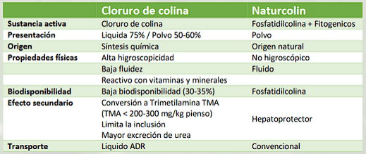 Uso de colina na nutrição animal - Image 1