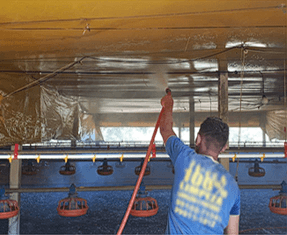 Eficiência do protocolo de fermentação em cama de aviário para controle de salmonela - Image 4