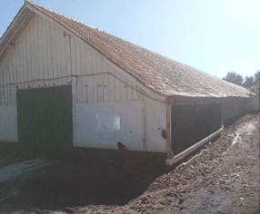 Eficiência do protocolo de fermentação em cama de aviário para controle de salmonela - Image 10