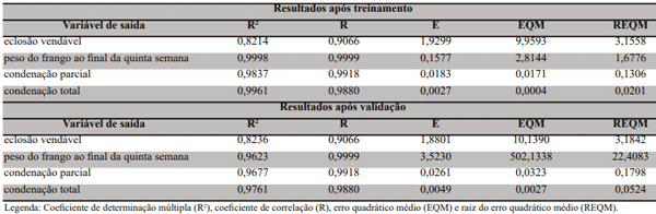 Tabela 4. Características matemáticas dos modelos gerados para as variáveis de saída: após treinamento e após validação