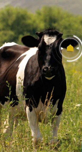 O Estudo do Microbioma como transformador da nutrição animal - Image 1