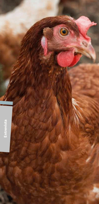 O Estudo do Microbioma como transformador da nutrição animal - Image 2