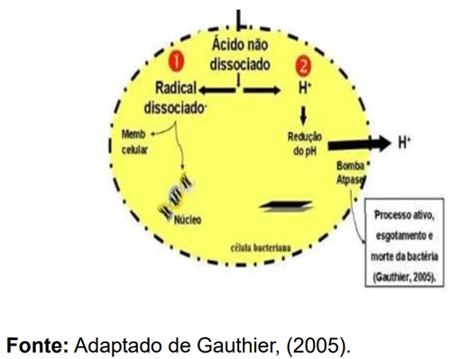 FIGURA 3: Mecanismo de ação dos ácidos orgânicos sobre a membrana celular bacteriana