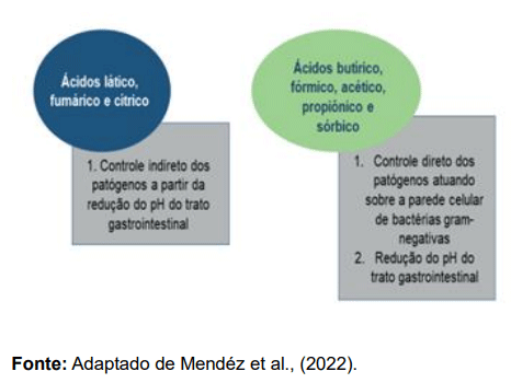 FIGURA 2: Mecanismos de ação propostos para os ácidos orgânicos