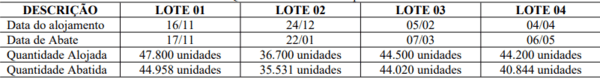 Produção de frangos para exportação em sistema de parceria: Custos e Resultados - Image 3