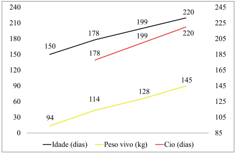 Aspectos práticos do manejo de leitoas e porcas gestantes para a manutenção do escorre corporal - Image 1