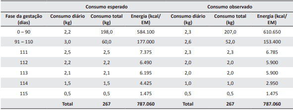 Aspectos práticos do manejo de leitoas e porcas gestantes para a manutenção do escorre corporal - Image 3