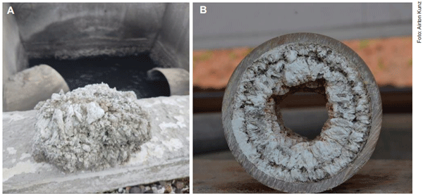 Figura 2. Imagem de estruvita natural depositada em (a) caixa de passagem em uma unidade de tratamento de dejeto suíno e (b) sessão transversal de uma tubulação de escoamento de dejeto suíno.