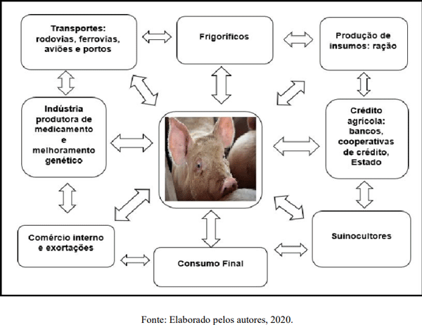 Figura 4. Redes da produção de suínos no Oeste Catarinense