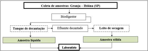 Figura 1: Fluxograma das coletas de amostras. Fonte: Elaborado pela autora (2022)