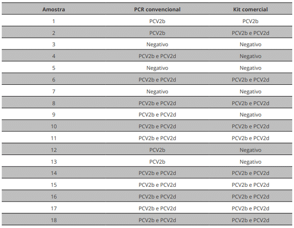 Tabela 4 Comparação entre os dois testes de genotipagem para PCV2.