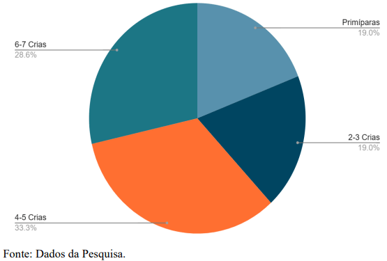 Gráfico 1 - Número de partos das fêmeas coletadas