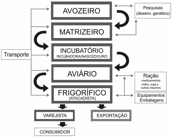 Avicultura integração vertical produtiva - Image 1