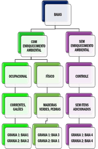 Comportamentos estereotipados dos suínos decorrente do enriquecimento ambiental - Image 1