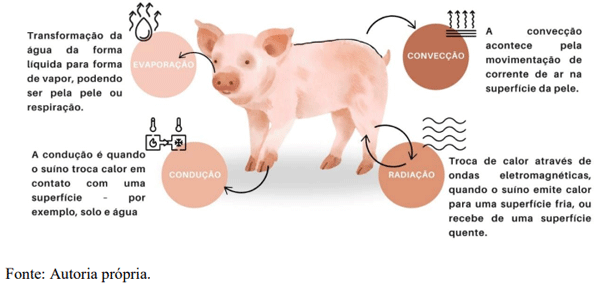 Figura 2. Mecanismos de troca de calor em suínos.