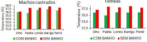 Ducha de baixa intensidade na fase de terminação melhora o desempenho e a qualidade da carne de suínos? - Image 2