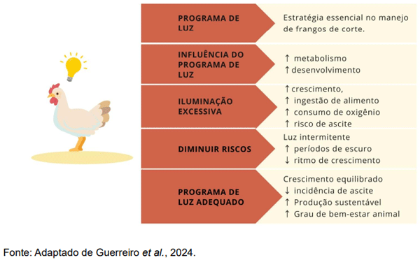 Figura 4. O papel do programa de luz na síndrome ascética.