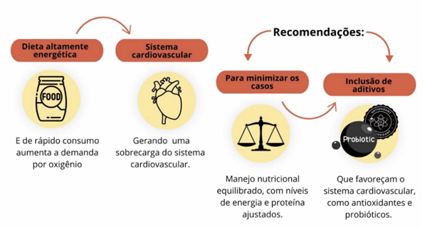 Figura 3. O papel da alimentação na síndrome ascítica.