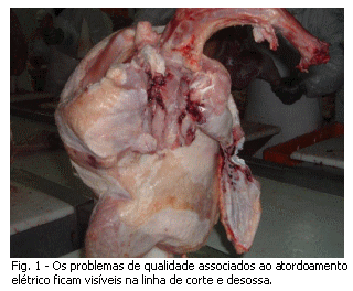 Atordoamento é Qualidade e Rendimento - Image 2