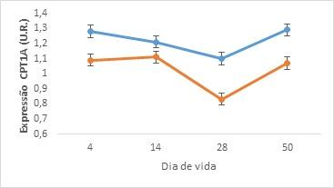 Metionina mais do que leite: Programação nutricional - Image 2