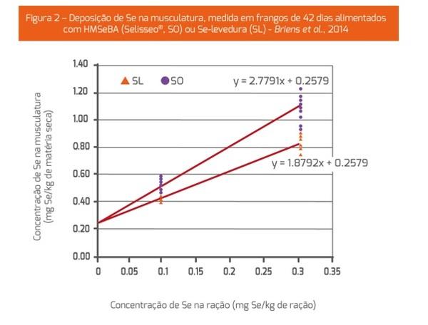 O stress oxidativo e o metabolismo antioxidante - Image 2