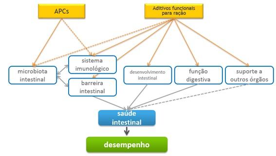 Reduzindo a utilização de antibióticos: qual o papel do butirato como aditivo alternativo? - Image 1