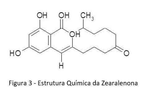 TRIGO E SUAS MICOTOXINAS Atualização – 2021 - Image 3