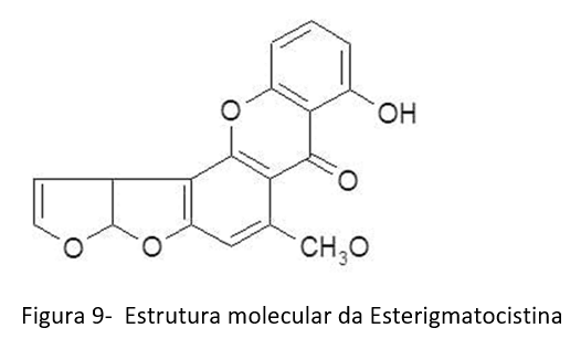 TRIGO E SUAS MICOTOXINAS Atualização – 2021 - Image 9