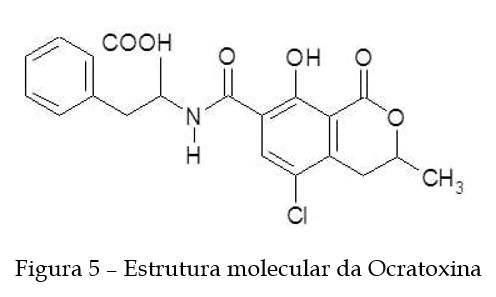 TRIGO E SUAS MICOTOXINAS Atualização – 2021 - Image 5