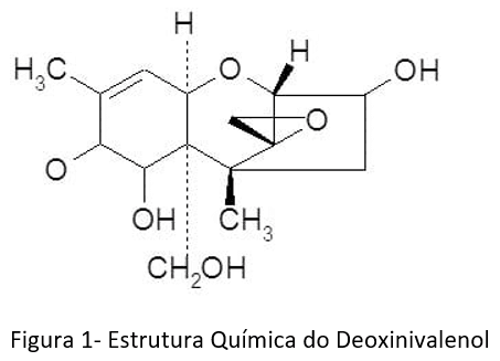 TRIGO E SUAS MICOTOXINAS Atualização – 2021 - Image 1