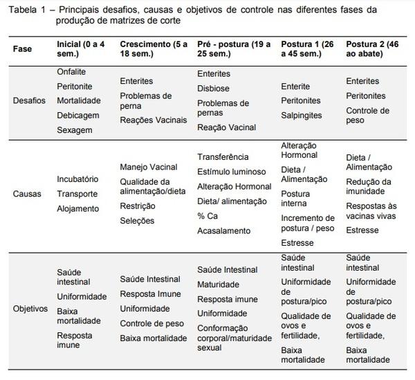 Produção de Matrizes AGP Free, Alternativas e Desafios - Image 1