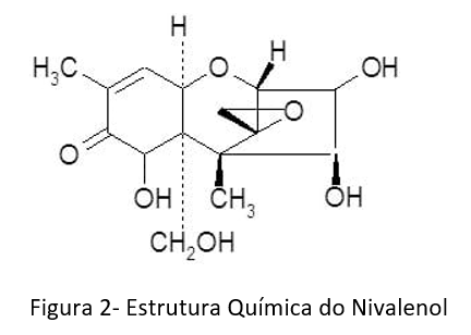 TRIGO E SUAS MICOTOXINAS Atualização – 2021 - Image 2