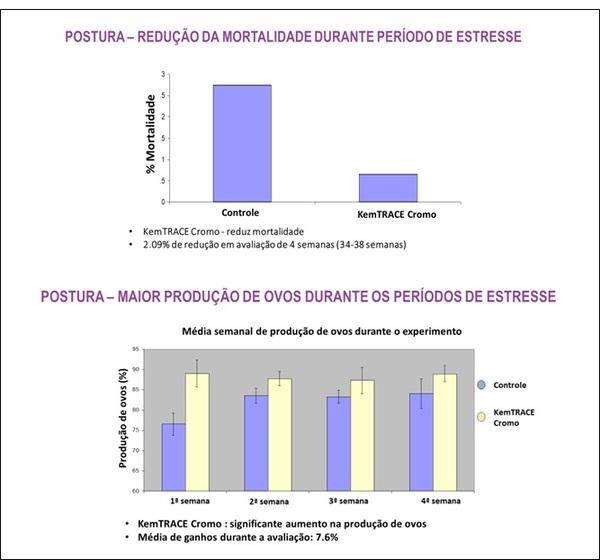 Há os que odeiam o frio e/ou calor... mas o que tem isso a ver com a avicultura? - Image 2