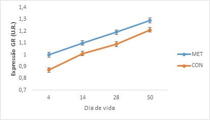 Metionina mais do que leite: Programação nutricional - Image 5