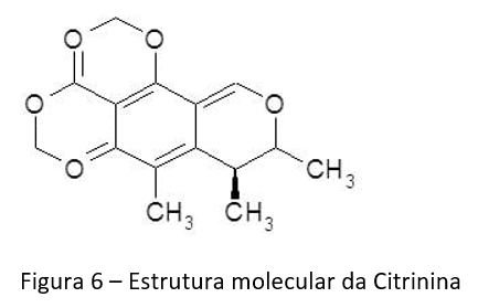 TRIGO E SUAS MICOTOXINAS Atualização – 2021 - Image 6