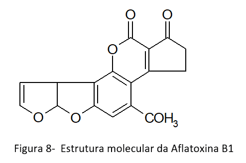 TRIGO E SUAS MICOTOXINAS Atualização – 2021 - Image 8