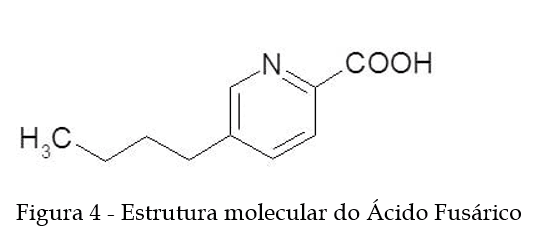 TRIGO E SUAS MICOTOXINAS Atualização – 2021 - Image 4