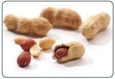 O kit de teste FluoroQuant® Afla Plus para testes de aflatoxina recebeu status de Performance TestedSM pela AOAC - Image 2