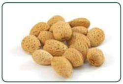 O kit de teste FluoroQuant® Afla Plus para testes de aflatoxina recebeu status de Performance TestedSM pela AOAC - Image 4