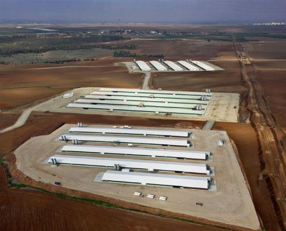 Aviarios Agrotop fotos aerea