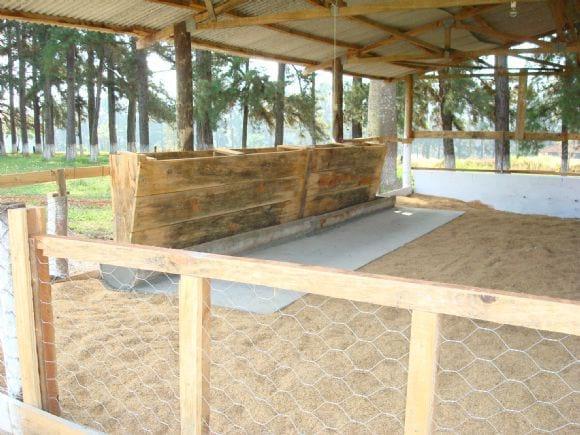 SISTEMA DE CRIAÇÃO EM CAMA SOBREPOSTA
