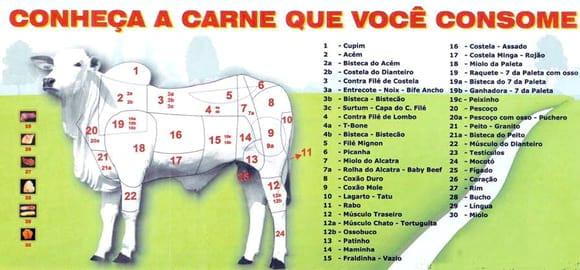 Partes da carcaça e suas carnes