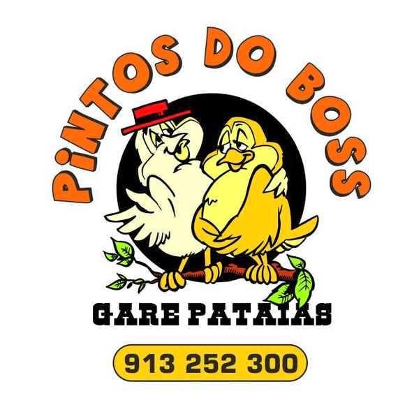 PINTOS DO BOSS