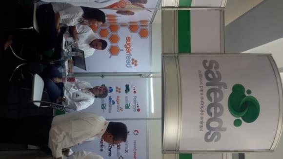 empresa Safeeds