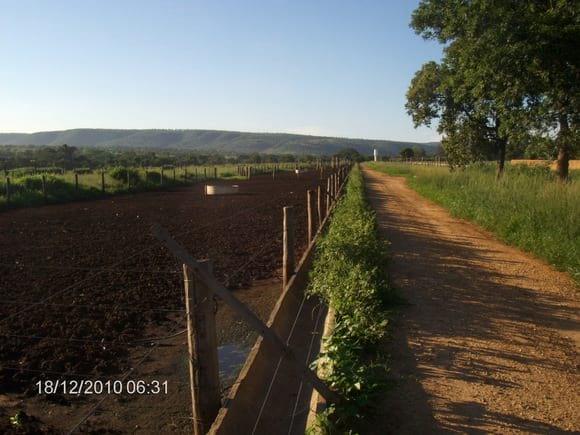 confinamento bovinos região de chuvas de verão